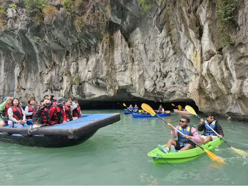 Turistas remando en barcas tradicionales entre acantilados en la Bahía de Halong