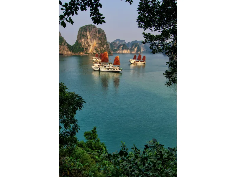 Crucero de lujo con velas marrones en la Bahía de Halong, Vietnam