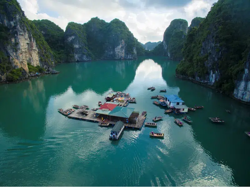 Puerto con decenas de embarcaciones turísticas en la Bahía de Halong
