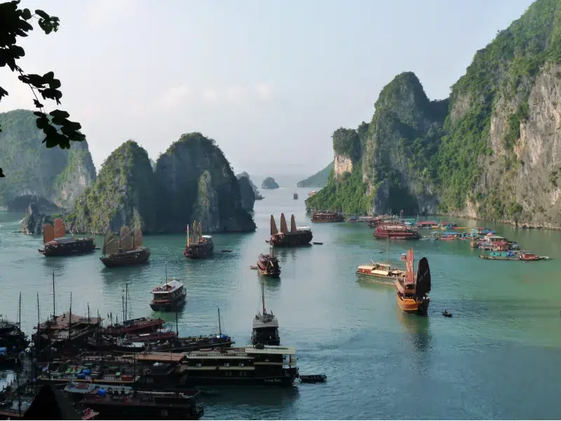 Puerto con decenas de embarcaciones turísticas en la Bahía de Halong