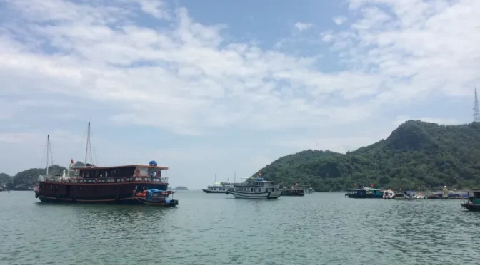 Cruceros navegando entre las islas de la bahía de Lan Ha, una alternativa tranquila y exclusiva a la bahía de Halong