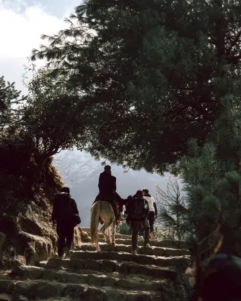 Grupo de viajeros y porteadores en sendero del Himalaya durante un trekking en Nepal.