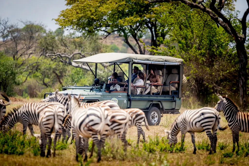 Cena privada frente al mar en Zanzíbar