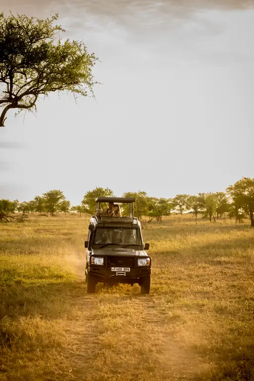 Observación de fauna al atardecer en Manyara