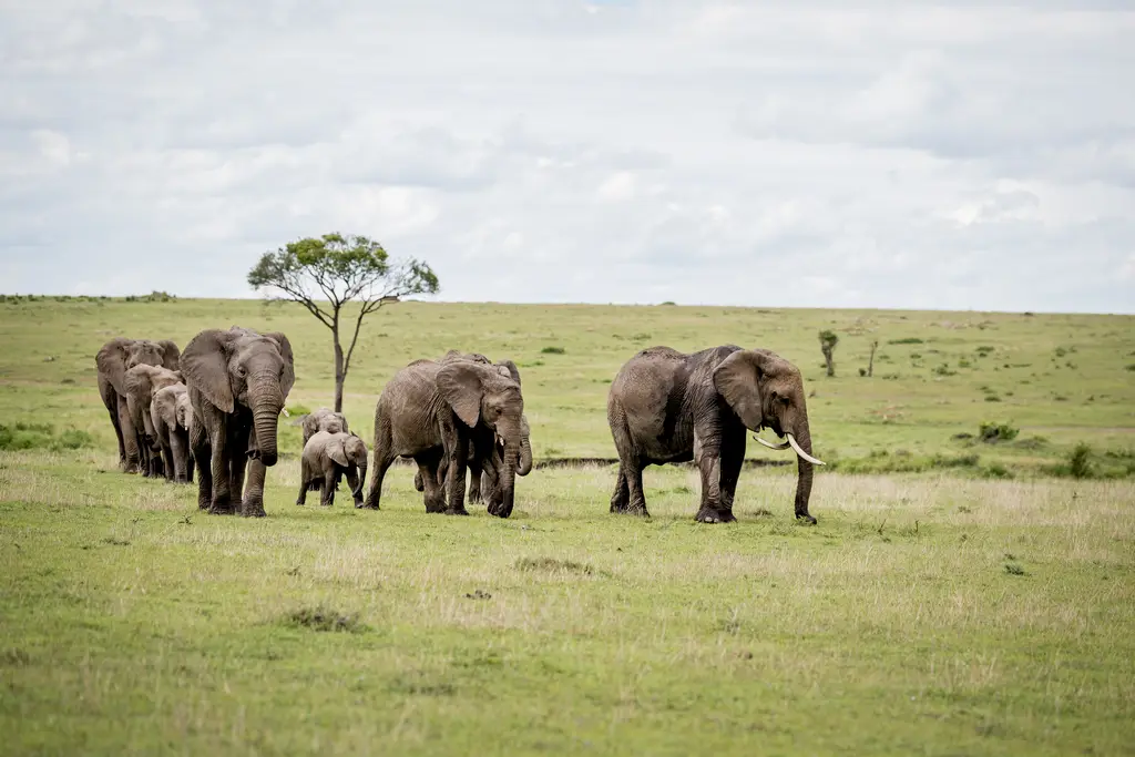 Islote privado cerca de Zanzíbar, aguas turquesa