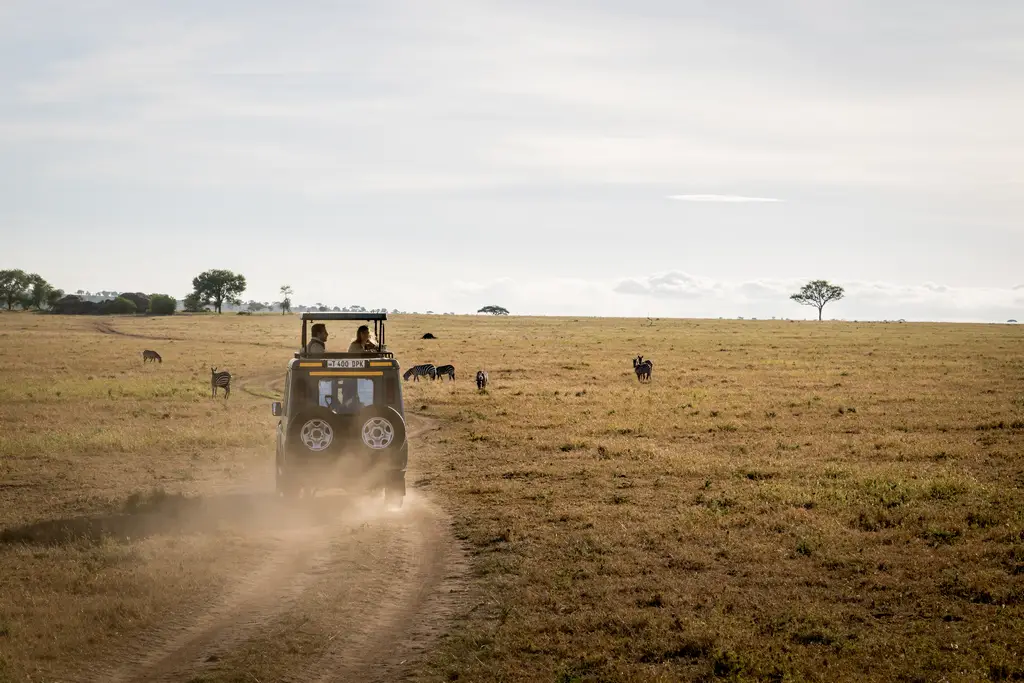 Serengeti: amanecer dorado durante el safari