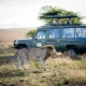 Viajar a Tanzania (3)