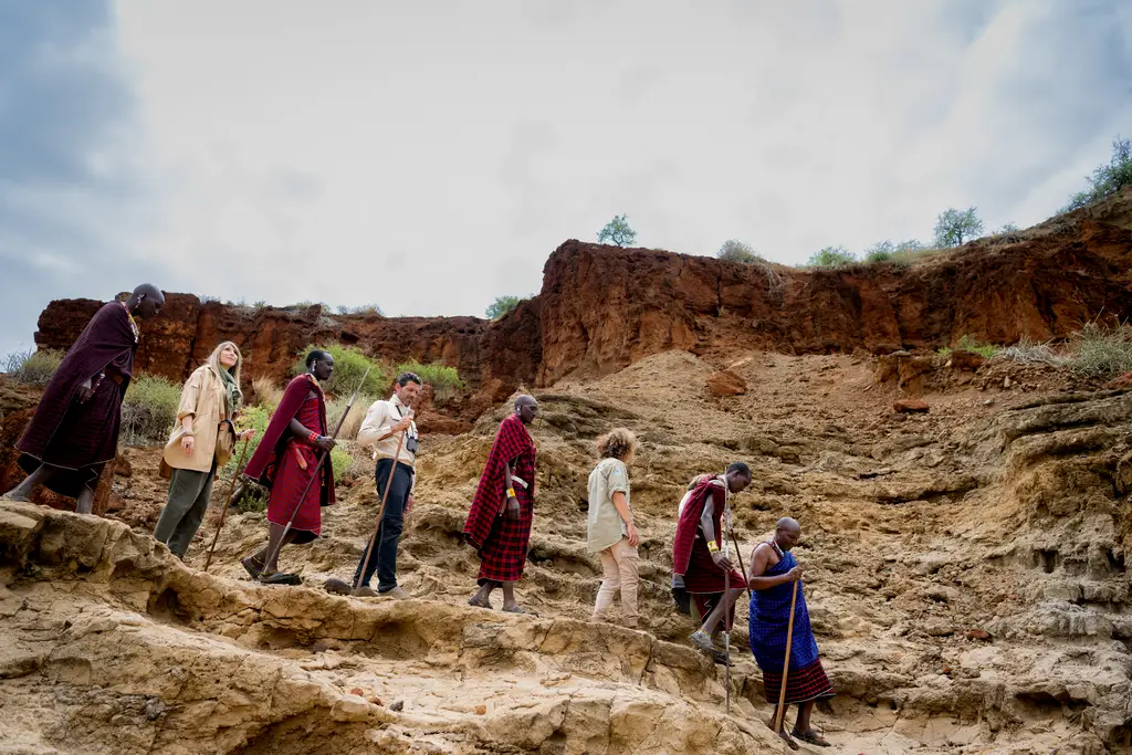 Elefantes entre baobabs en Tarangire